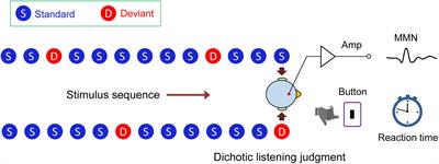 Brain Hemispheres Swap Dominance for Processing Semantically Meaningful Pitch